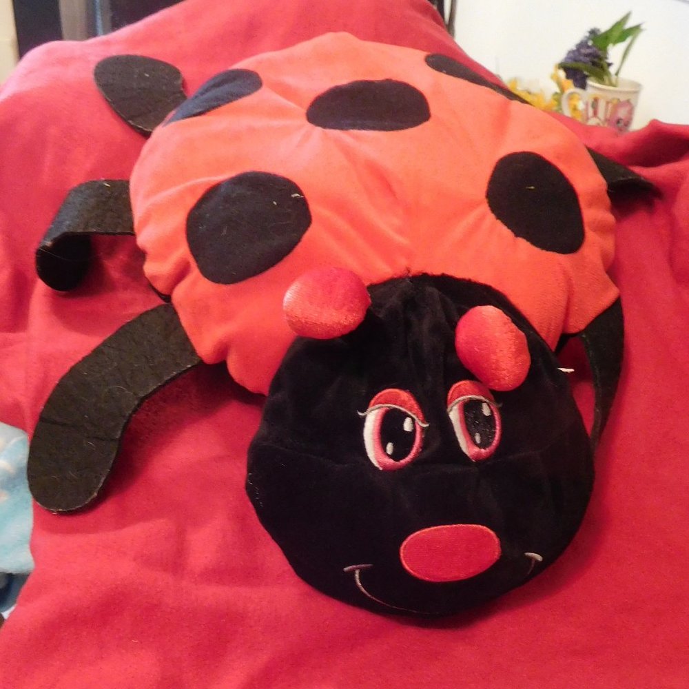 Ladybug Pillow & Blanket Set